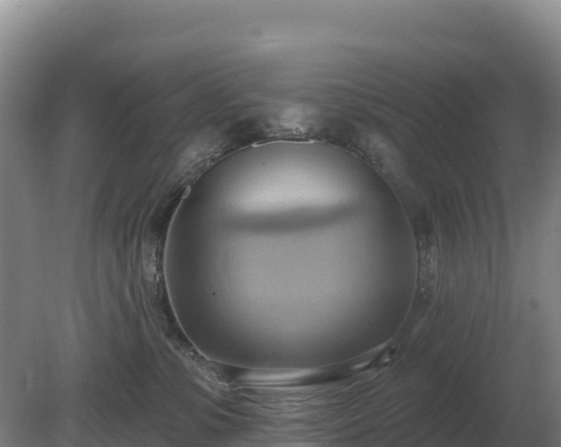 X0000081300331200701181842