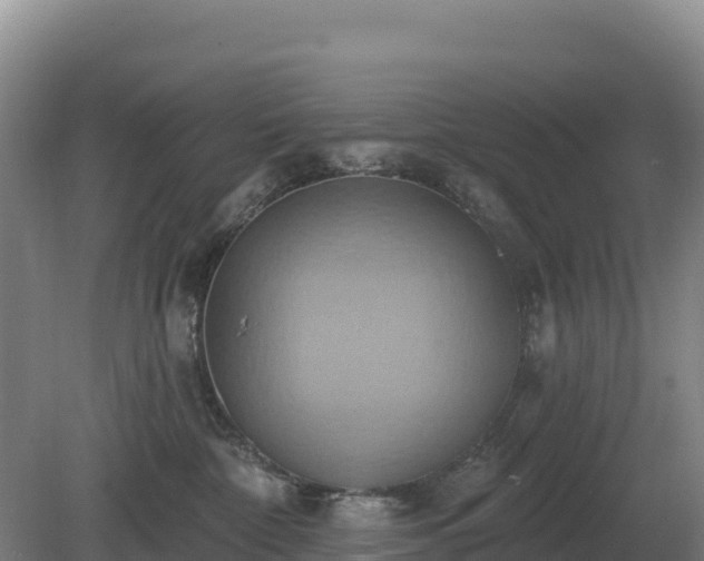 X0000081300332200701181842