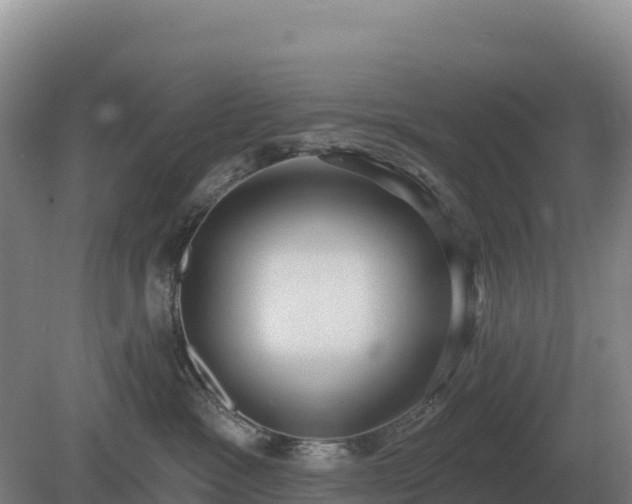 X0000081300333200701181842