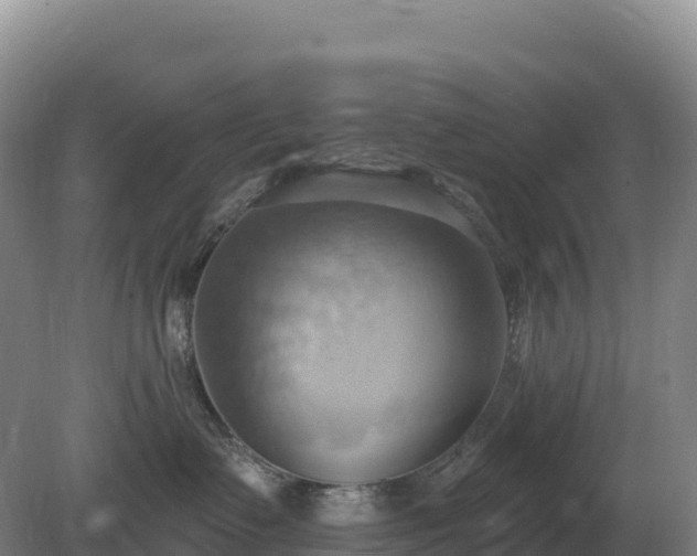 X0000081300335200701181842