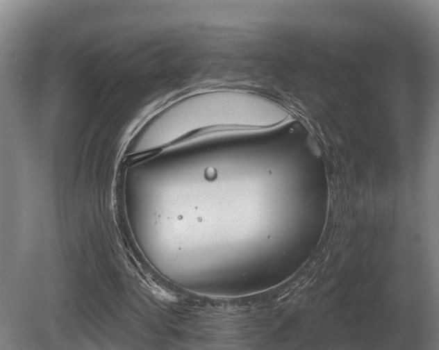 X0000081300340200701181841