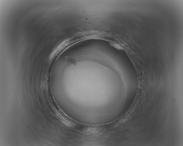 X0000081300341200701181841