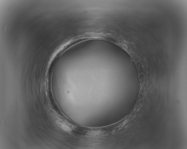 X0000081300342200701181841