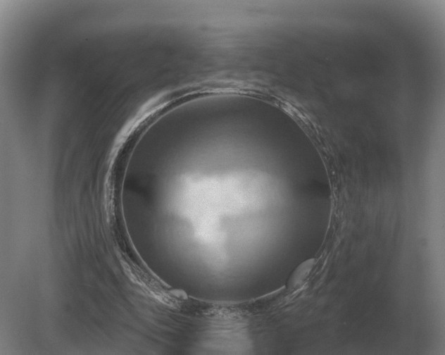 X0000081300343200701181841