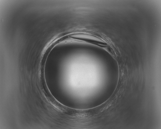 X0000081300344200701181841