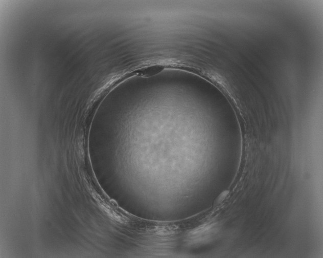 X0000081300345200701181841