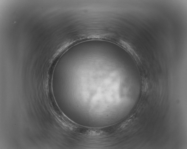 X0000081300346200701181841