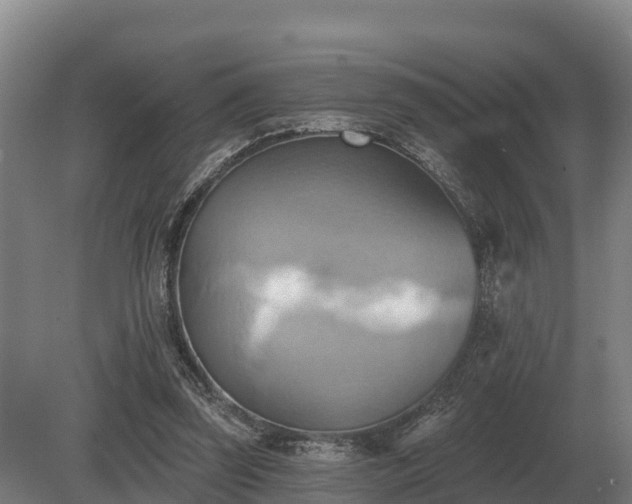 X0000081300347200701181841