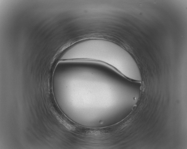 X0000081300349200701181841