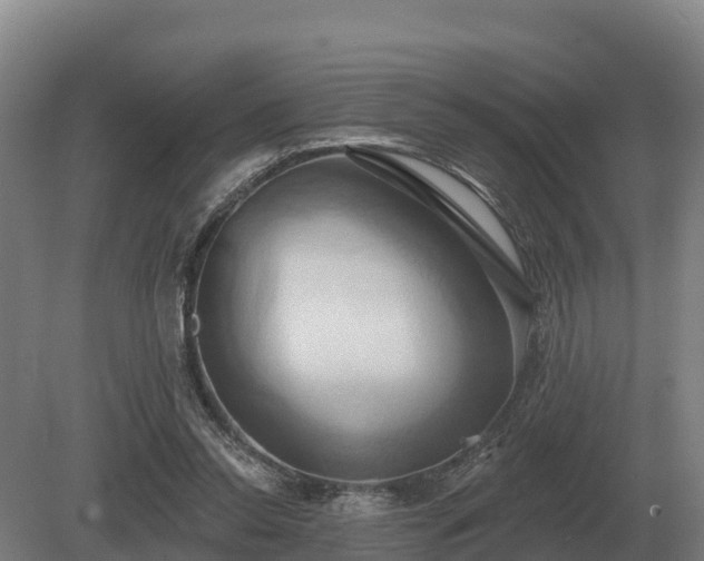 X0000081300350200701181841