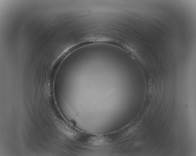 X0000081300351200701181841