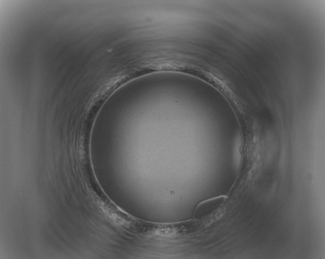 X0000081300353200701181841