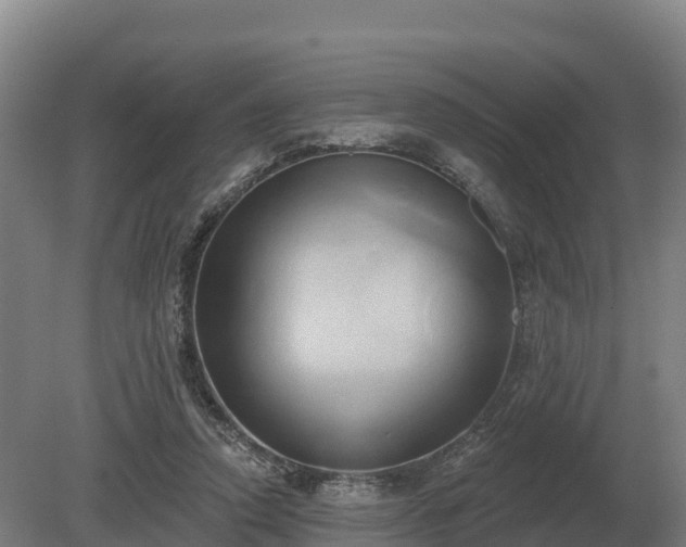 X0000081300354200701181841