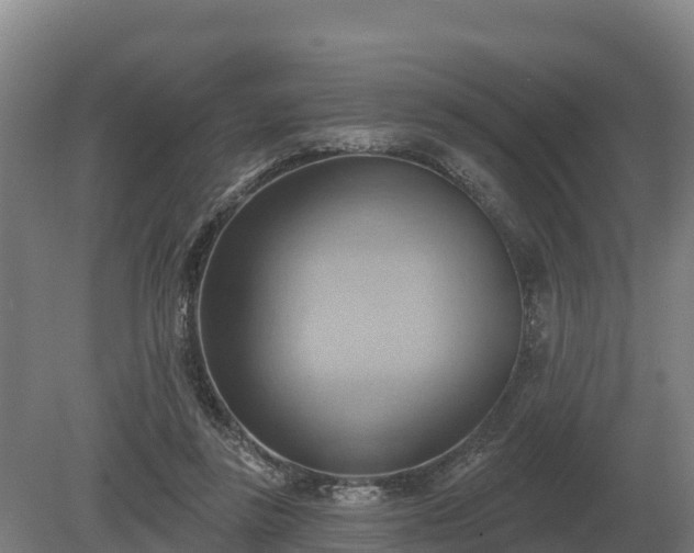 X0000081300355200701181841