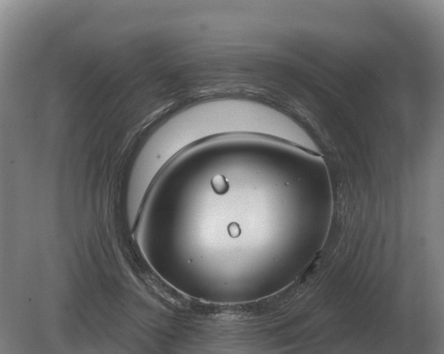 X0000081300356200701181841