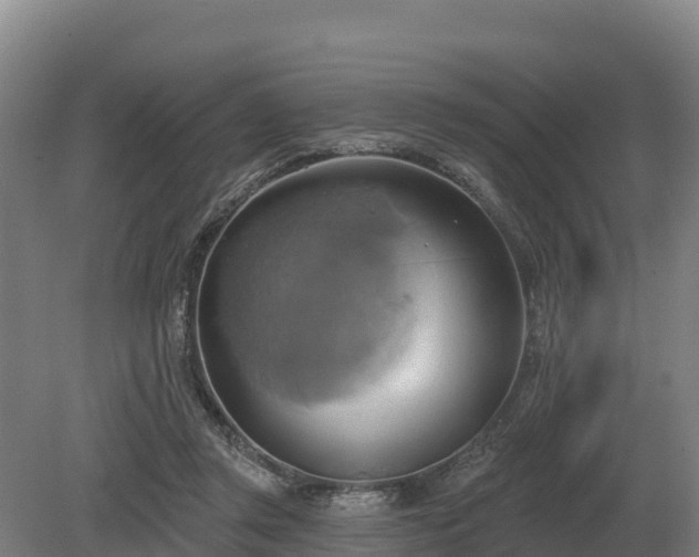 X0000081300357200701181841