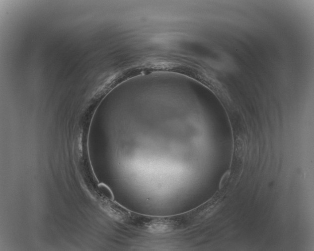 X0000081300358200701181841