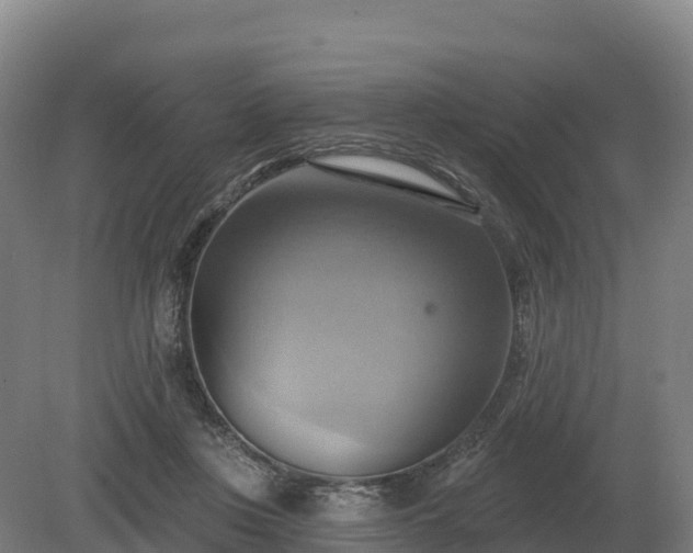 X0000081300359200701181841