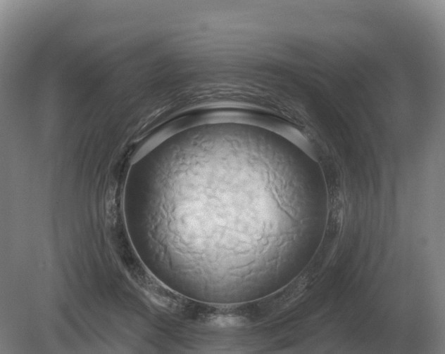 X0000081300360200701181841