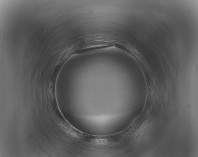 X0000081300361200701181841