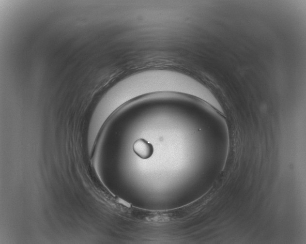 X0000081300362200701181841