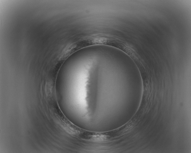 X0000081300363200701181841