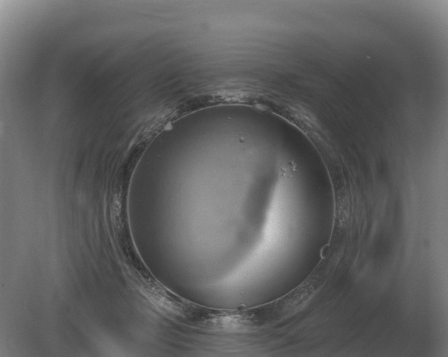 X0000081300365200701181841