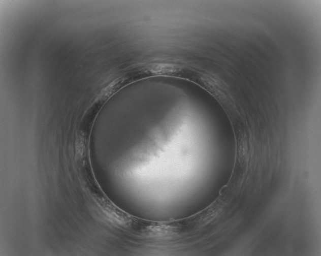 X0000081300367200701181841