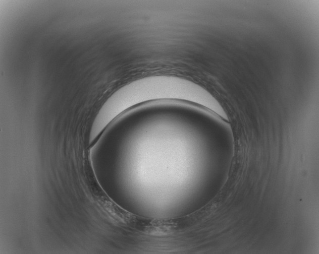 X0000081300368200701181841