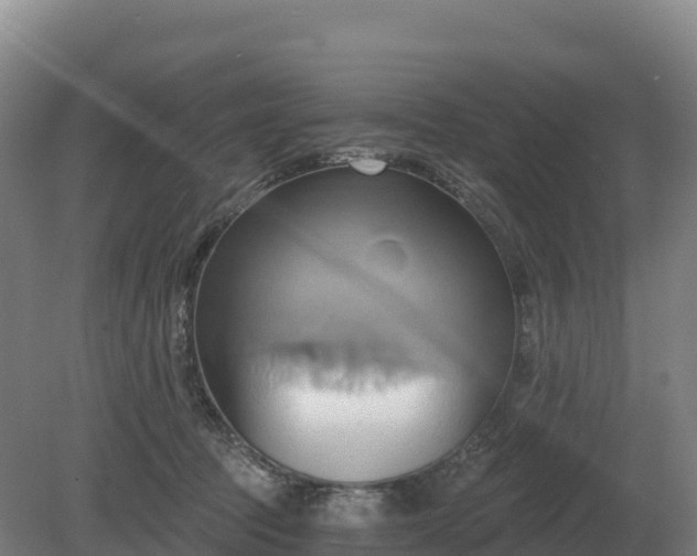 X0000081300369200701181841