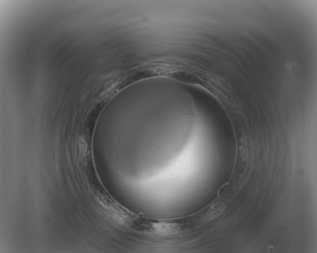 X0000081300371200701181841