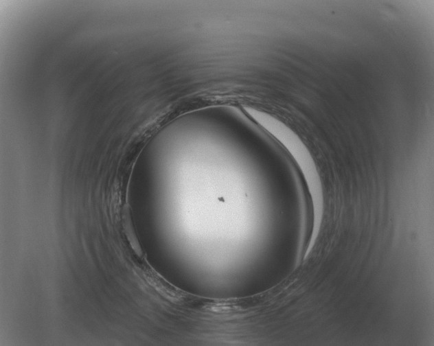 X0000081300372200701181841