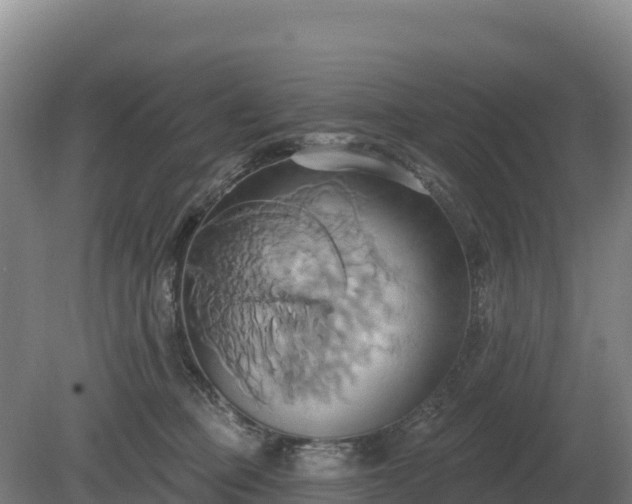 X0000081300373200701181841