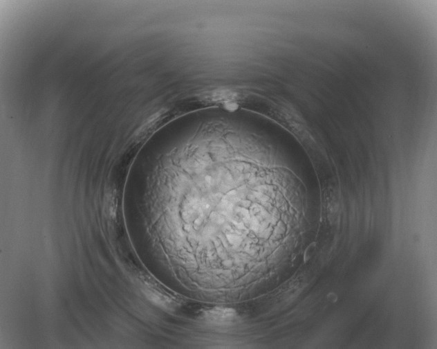 X0000081300374200701181841