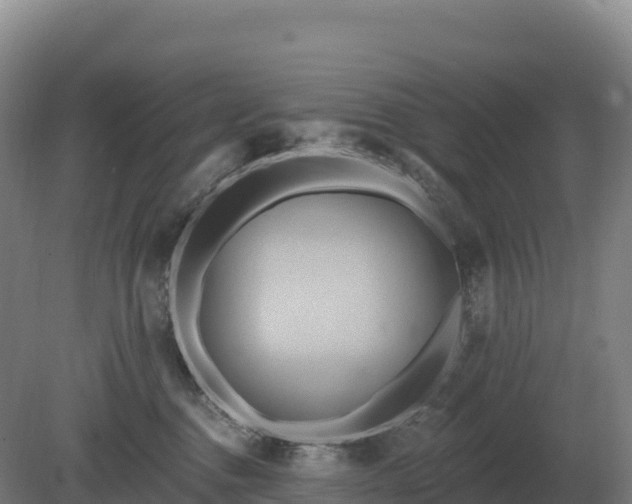 X0000081300376200701181841