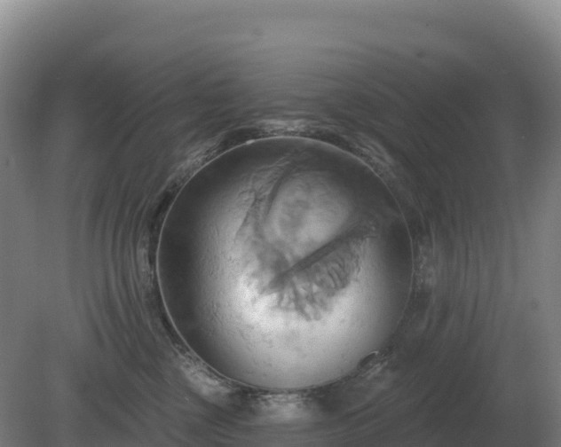 X0000081300377200701181841