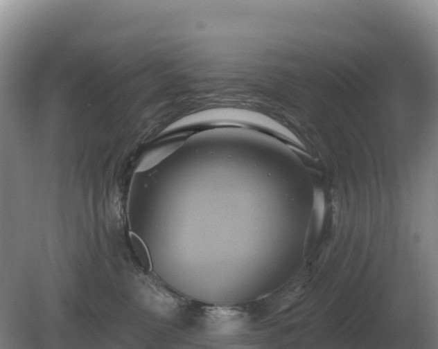 X0000081300380200701181842