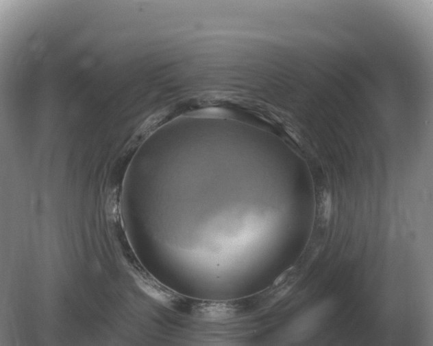 X0000081300383200701181842