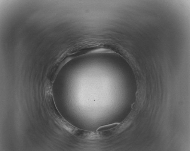 X0000081300384200701181842