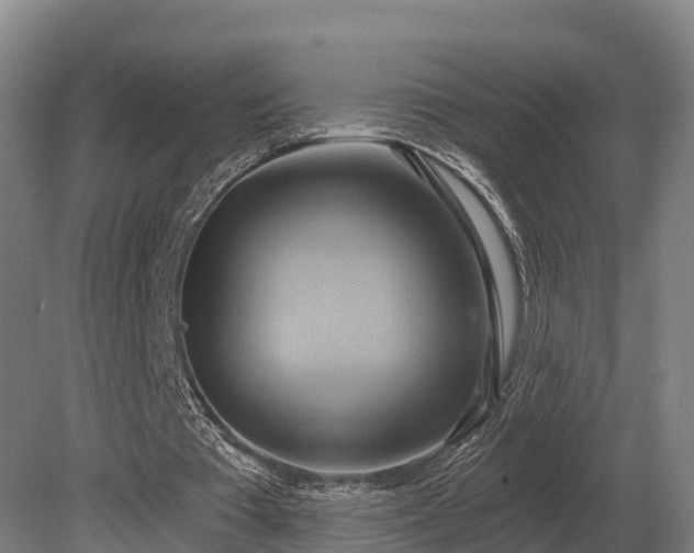 X0000081300385200701181841