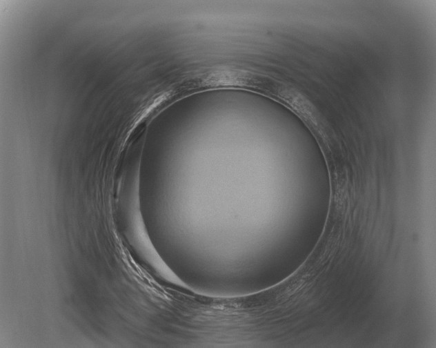 X0000081300386200701181841