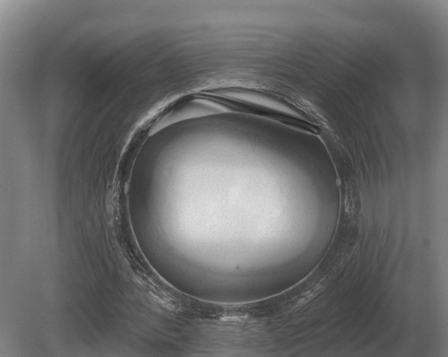 X0000081300388200701181841