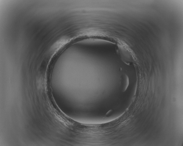 X0000081300391200701181841