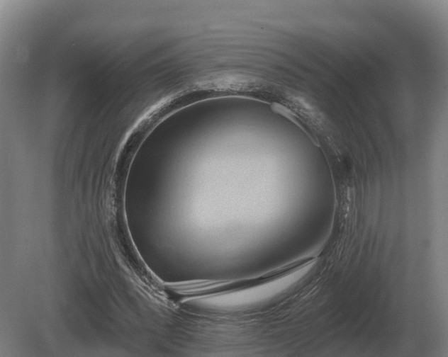 X0000081300392200701181841