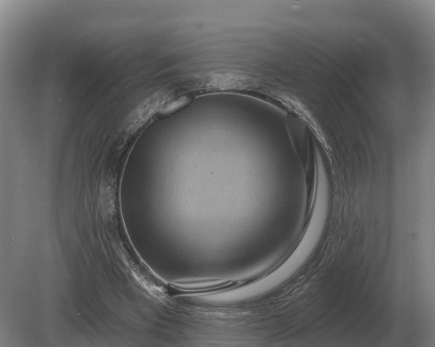 X0000081300393200701181841