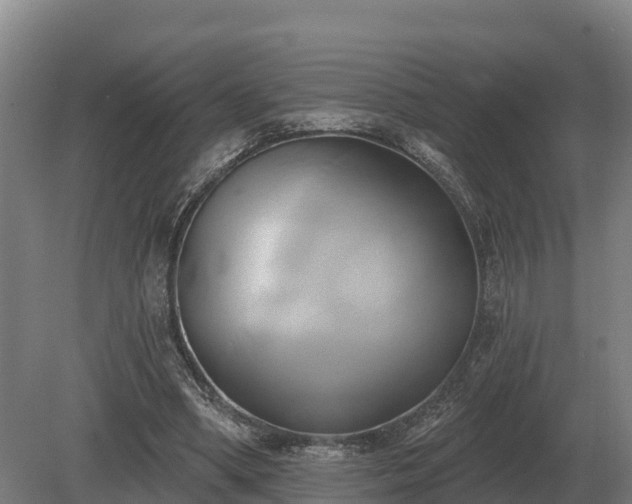 X0000081300394200701181841