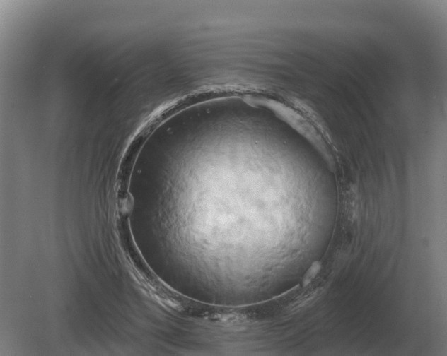 X0000081300395200701181841