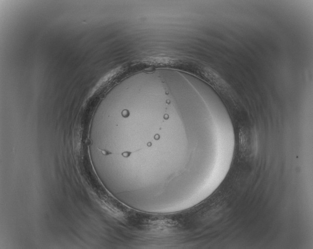 X0000081300396200701181841