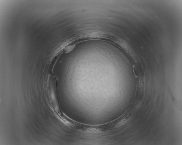 X0000081300397200701181841