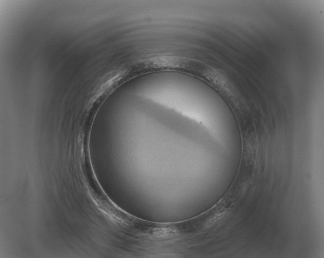 X0000081300398200701181841